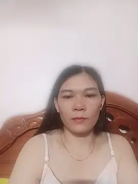 Mi-Linna webcam
