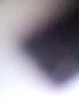 SQUITBOOTY webcam