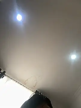 pawmistry webcam