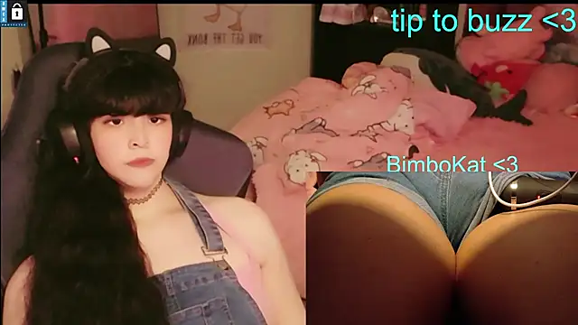 BimboCat webcam