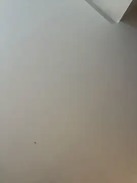 dominantandsubmissiveshow