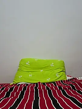 altinya webcam