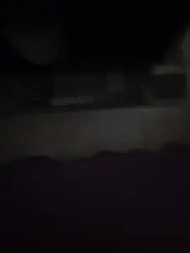 PettyCat