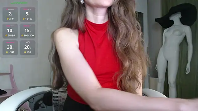 BB_Web webcam