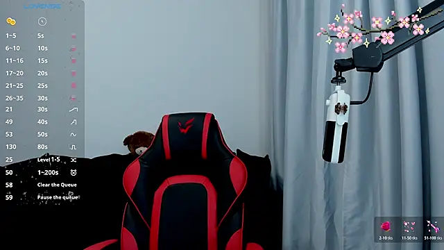 Vulgar_Tamer webcam