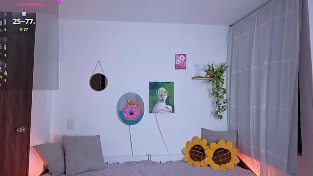 sofix__ webcam