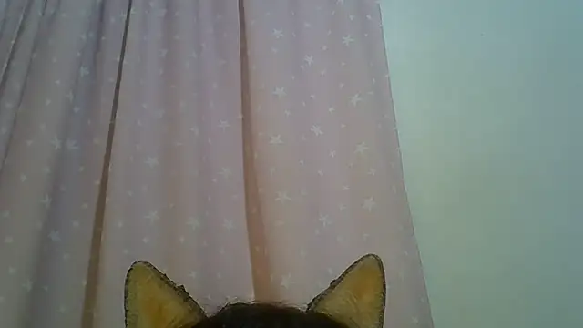 SkinnyKitten webcam