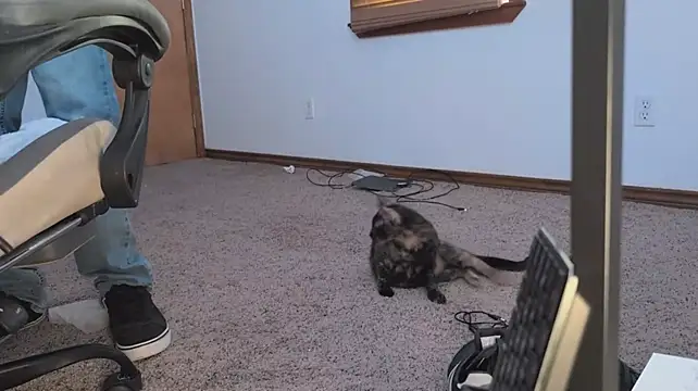 Opondestre00420 webcam