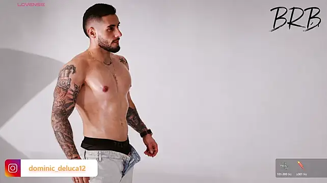 dominic_de_luca webcam
