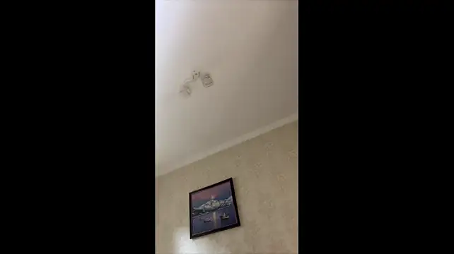 Brian_Stars webcam
