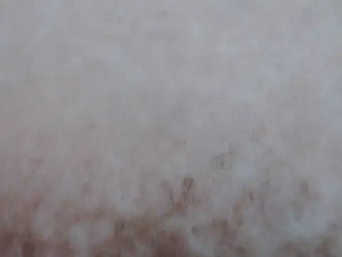 sassygirl20 webcam
