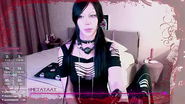 metatat webcam