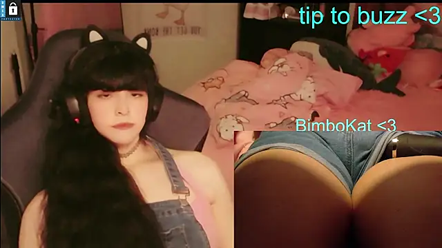 BimboCat webcam