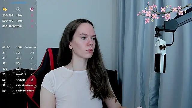 Vulgar_Tamer