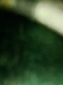 hotmasti live sex cam