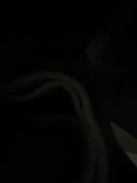 Phattpinktaco webcam