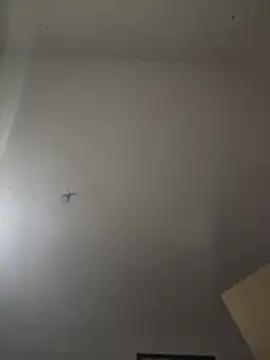 crisfootlicker