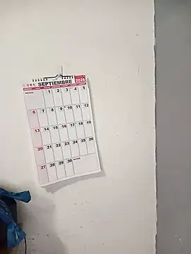 Ivyrose_rose webcam