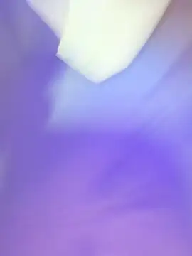 magnumbuse