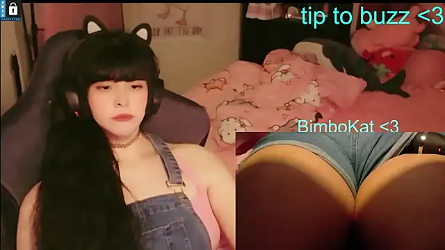 BimboCat