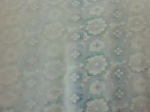 sarathchandru live cam preview