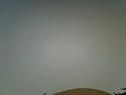 Swt_vixen webcam