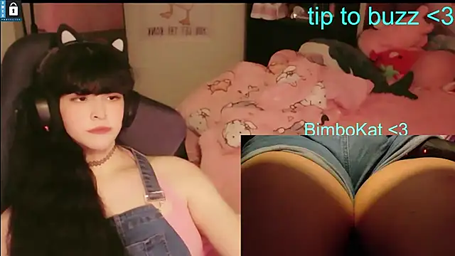 bimbocat's live room