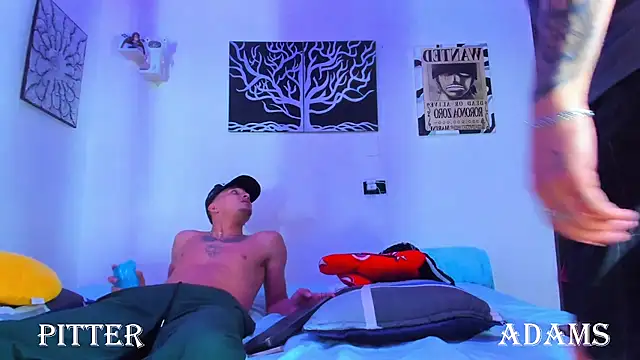 AdamsDvi
