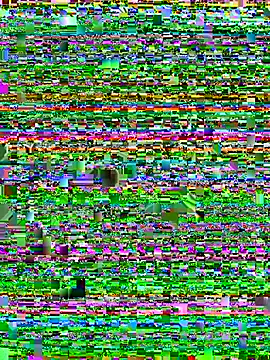 joeystaciee webcam