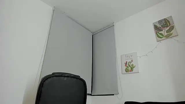 barbie_ds webcam