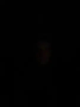 VelvetKingg