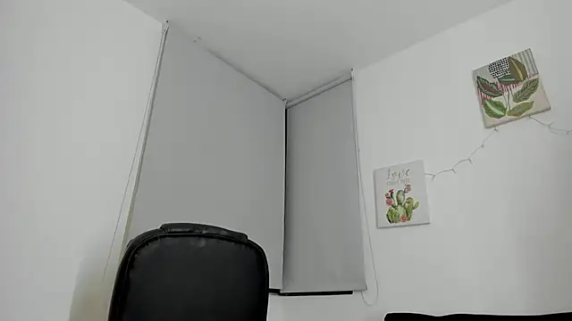 barbie_ds webcam
