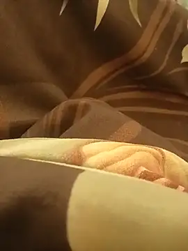 RenegadeReadying webcam
