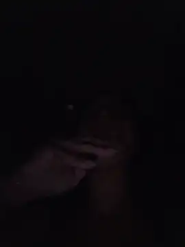 LilyOrion