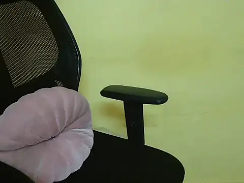 Aniee2 webcam