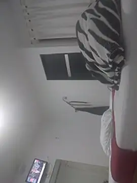 brytanys webcam