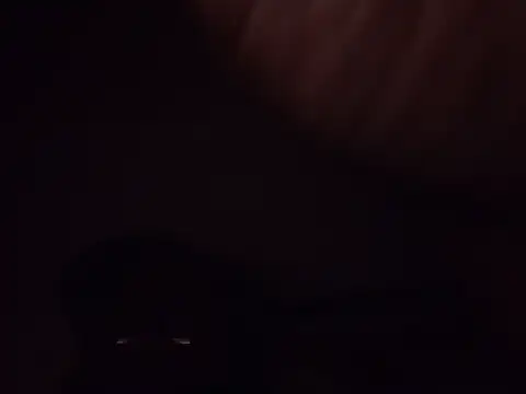 idodpalace webcam