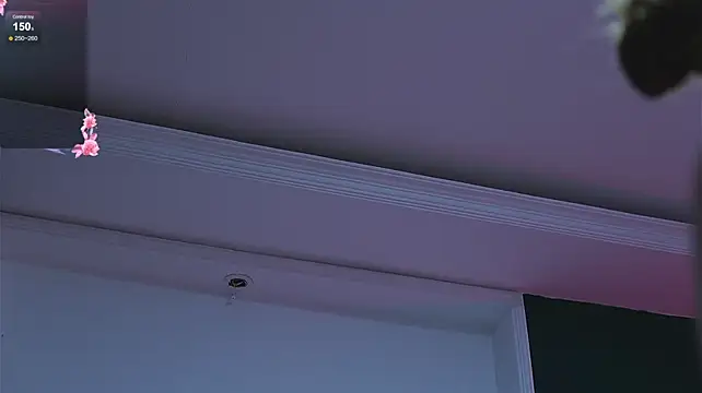 caroline_adams_ webcam