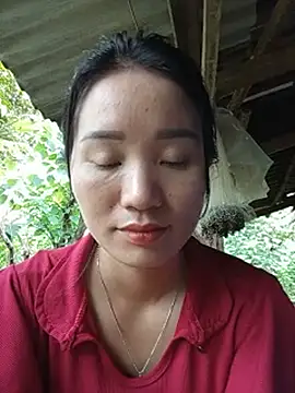 Td3di