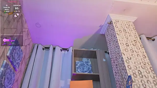 slim_tian webcam