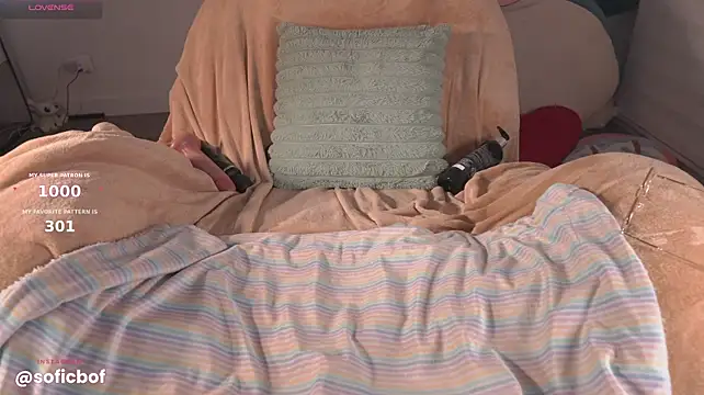 sofi_sc webcam