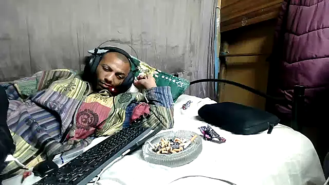 Camodick webcam
