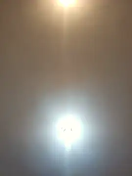 -TheCatCrazy- live cam