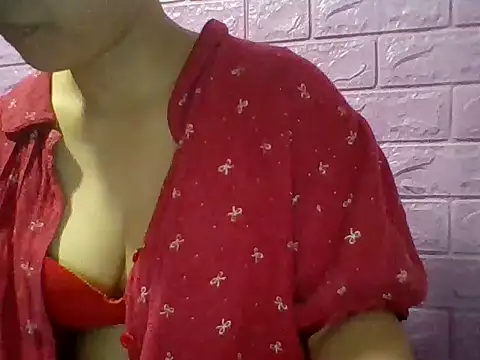 Mimi18x webcam