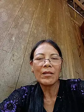 toyo_668 webcam