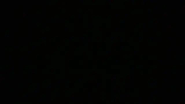 NuttyProfesir