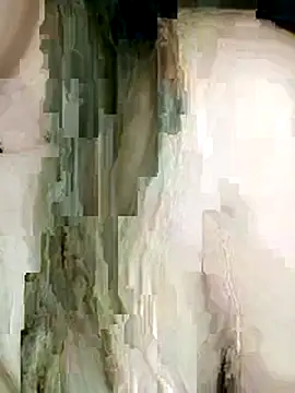 Be-Ar webcam