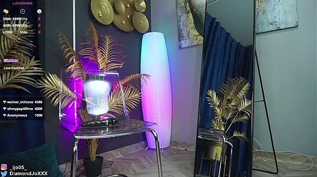 DiamondJo_ webcam