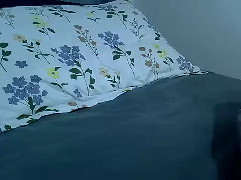 Lutyie webcam