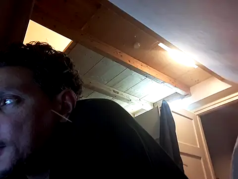 ARTANIS20 webcam